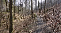 224_TZ60_P1090924_cr