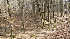 226_TZ60_P1090926_cr