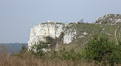 267_TZ60_P1090959_cr