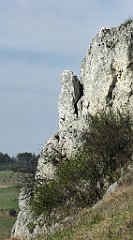 279_TZ60_P1090970_cr