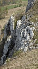 288_TZ60_P1090980_cr