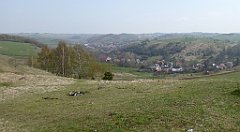 299_TZ60_P1100008_cr