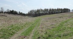 339_TZ60_P1100048_cr