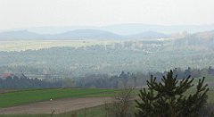 369_TZ60_P1100069_cr