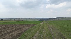 375_TZ60_P1100075_cr