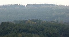 387_TZ60_P1100100_cr