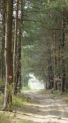 406_TZ60_P1100112_cr