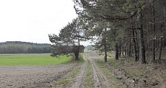 407_TZ60_P1100113_cr