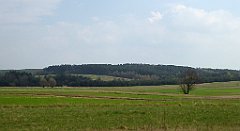 412_TZ60_P1100120_cr