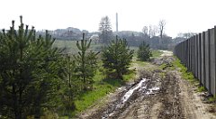 430_TZ60_P1100138_cr