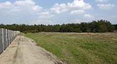 431_TZ60_P1100139_cr