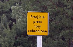 433_TZ60_P1100141_cr