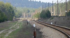 439_TZ60_P1100147_cr