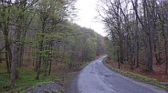 004_TZ60_P1100166_cr