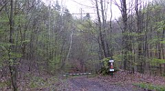 008_TZ60_P1100170_cr