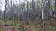 010_TZ60_P1100172_cr