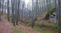 017_TZ60_P1100178_cr