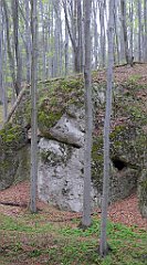 019_TZ60_P1100180_cr