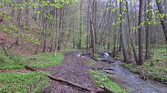 043_TZ60_P1100197_cr