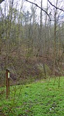 053_TZ60_P1100207_cr