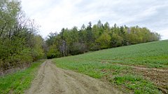 076_TZ60_P1100224_cr