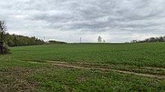 077_TZ60_P1100225_cr