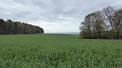 078_TZ60_P1100226_cr