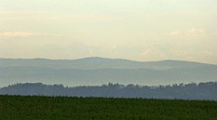 080_TZ60_P1100230_cr