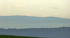 084_TZ60_P1100241_cr