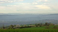 108_TZ60_P1100276_cr