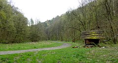 146_TZ60_P1100317_cr