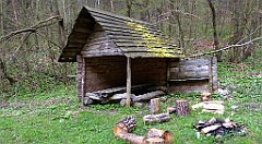 148_TZ60_P1100319_cr