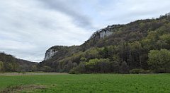 178a_TZ60_P1100336_cr