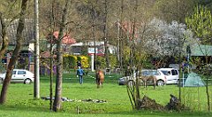 190_TZ60_P1100345_cr