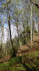 203_TZ60_P1100352_cr