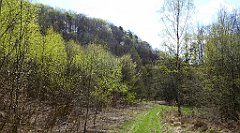 211_TZ60_P1100356_cr