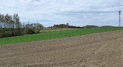 215a_TZ60_P1100362_cr