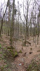 232_TZ60_P1100385_cr