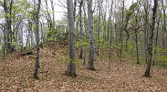 242_TZ60_P1100395_cr