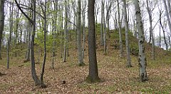 246_TZ60_P1100399_cr