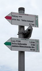 257_TZ60_P1100407_cr