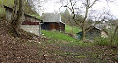 260_TZ60_P1100410_cr