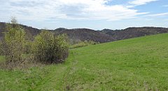 262a_TZ60_P1100413_cr