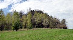 265_TZ60_P1100414_cr