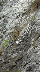 277_TZ60_P1100424_cr