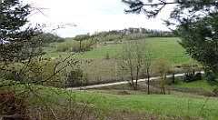 290_TZ60_P1100440_cr