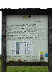 300_TZ60_P1100446_cr