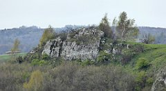 317_TZ60_P1100466_cr