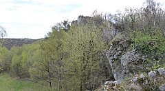 318_TZ60_P1100467_cr