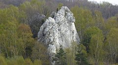 330a_TZ60_P1100478_cr